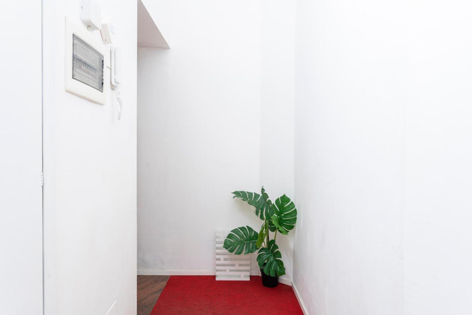 Apartment New! Lovely & Friendly In Center A *